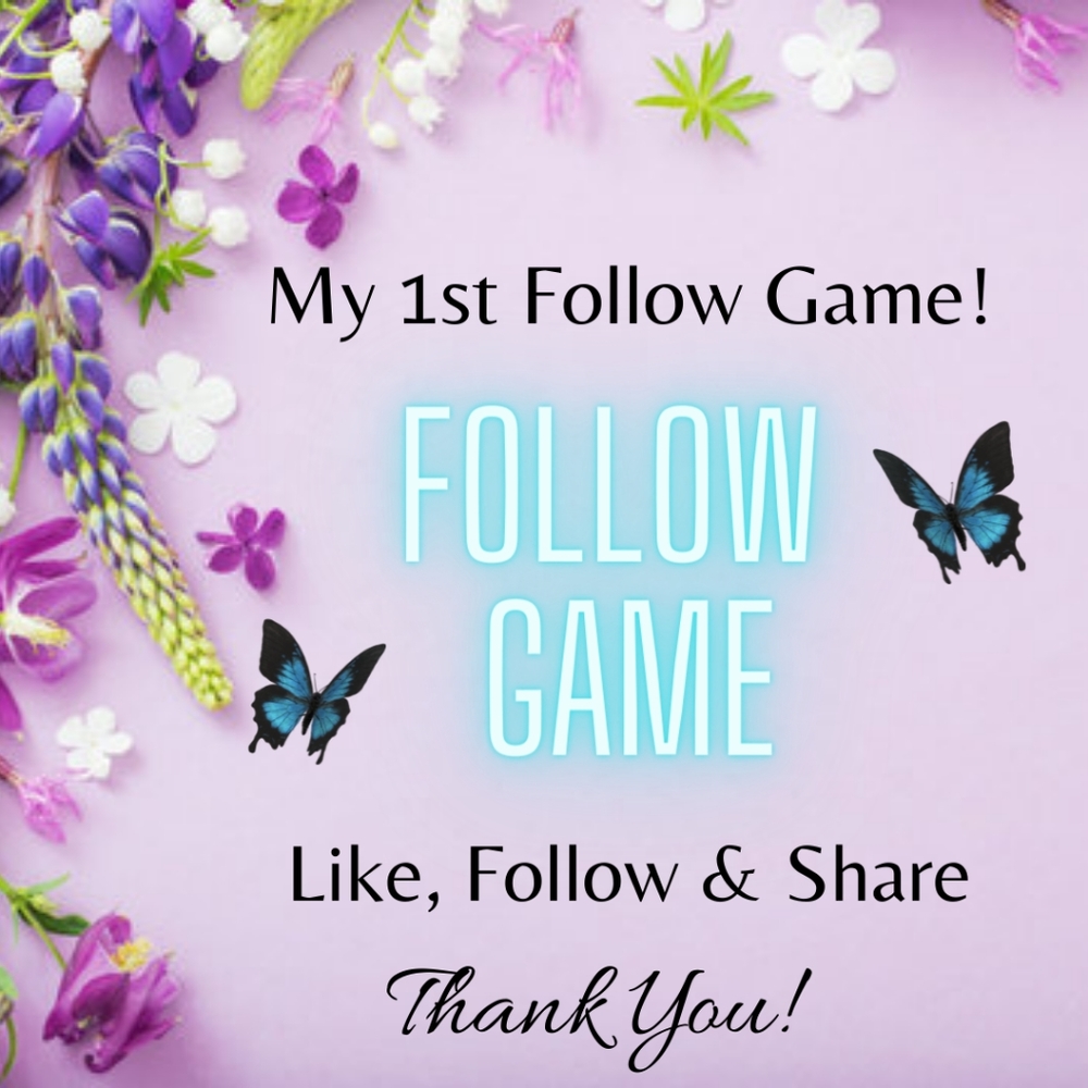 Follow Game 🌺